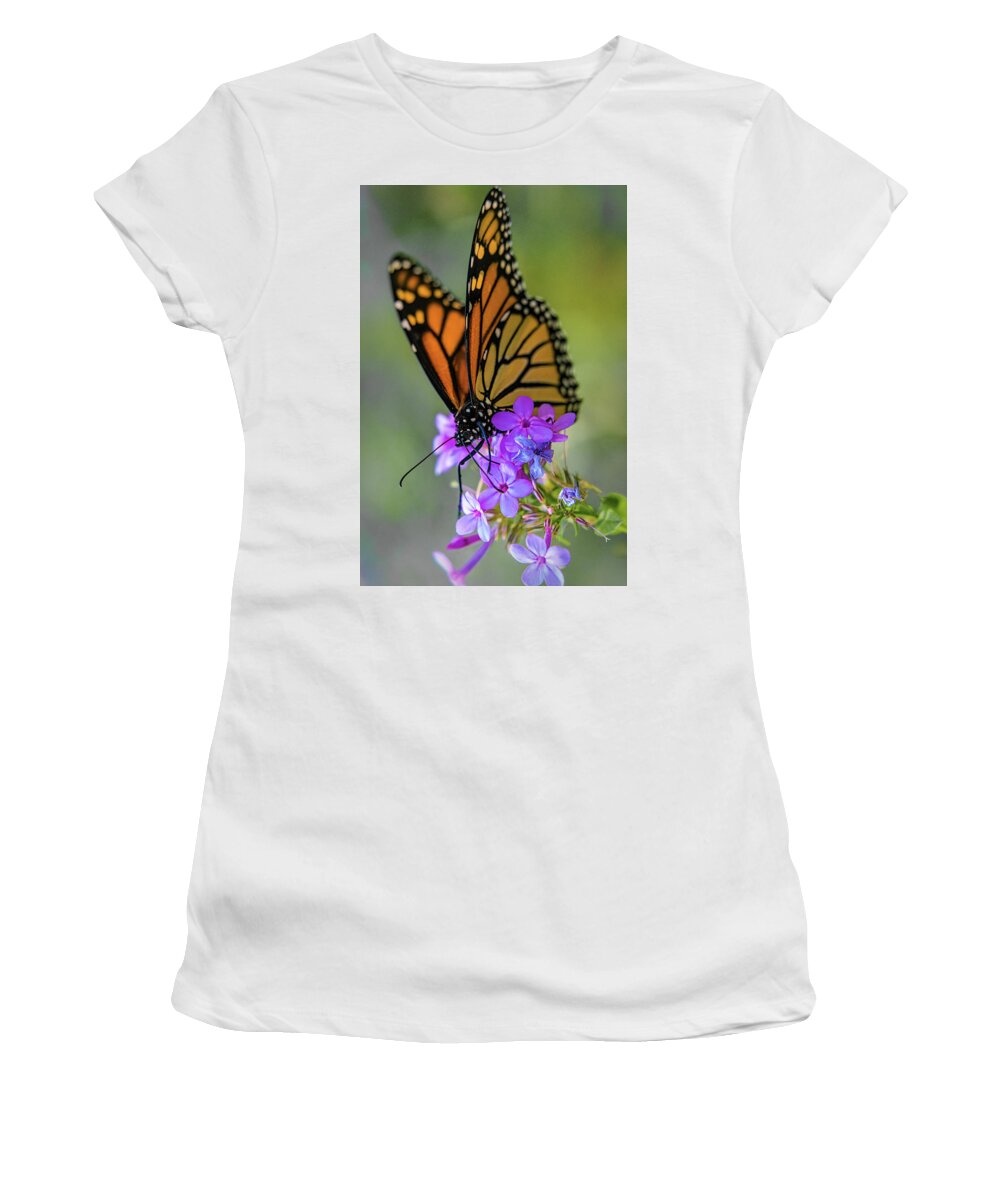 Butterfly Women's T-Shirt featuring the photograph October Monarch by Chris Lord