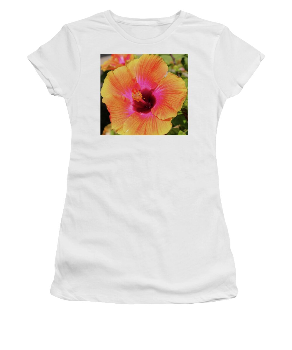 Flowers Women's T-Shirt featuring the pyrography Orange Hibiscus by Tony Spencer