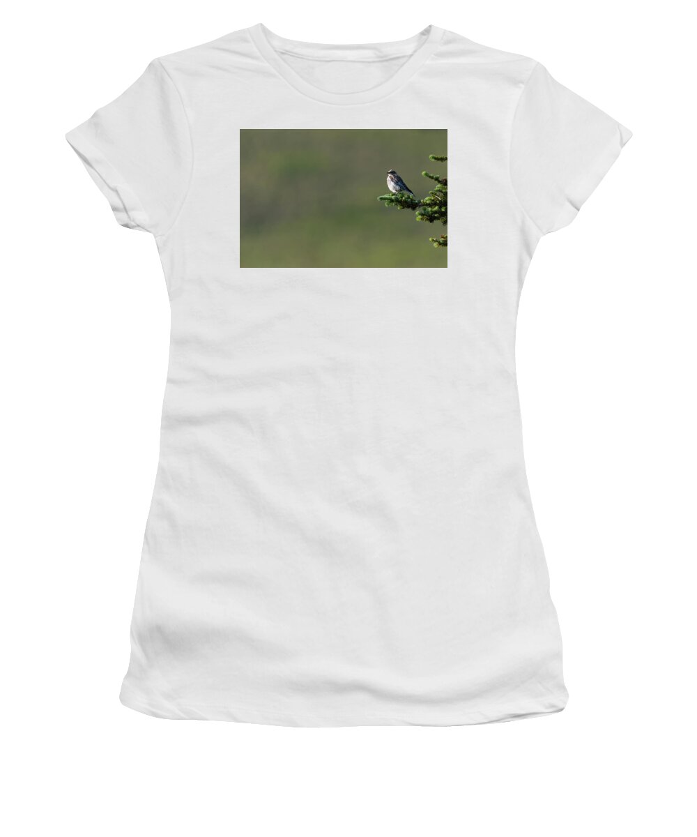 Birds Women's T-Shirt featuring the photograph Out On a Limb by Darren White