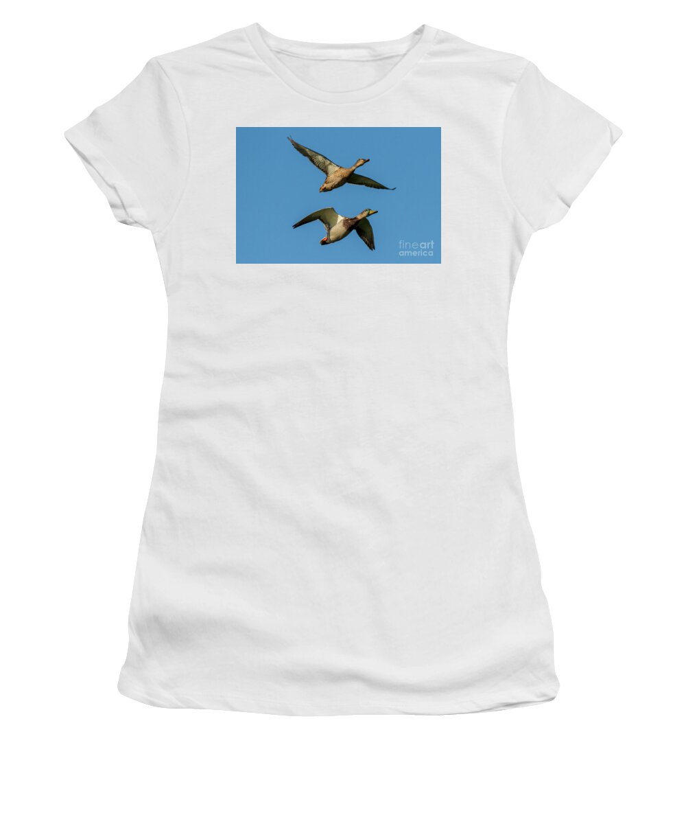 Photography Women's T-Shirt featuring the photograph Pair of Flying Mallard Anas platyrhynchos Costa Ballena Cadiz by Pablo Avanzini