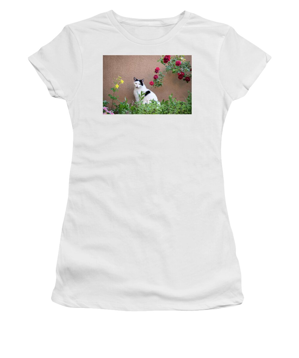 Cat Women's T-Shirt featuring the photograph Phoebe at the Garden Wall by Mary Lee Dereske