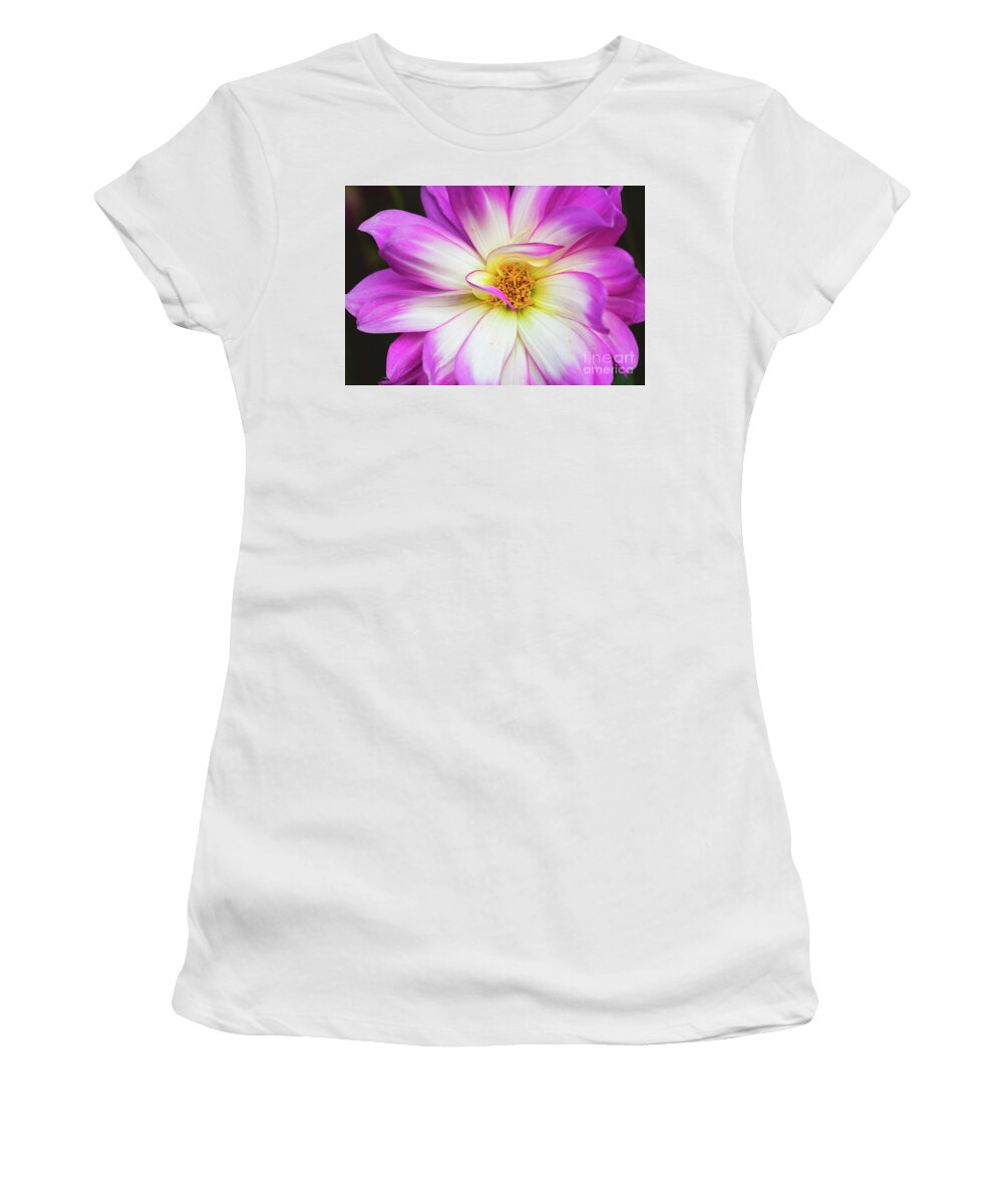 Pink Flower Women's T-Shirt featuring the photograph Pretty in Pink by Abigail Diane Photography