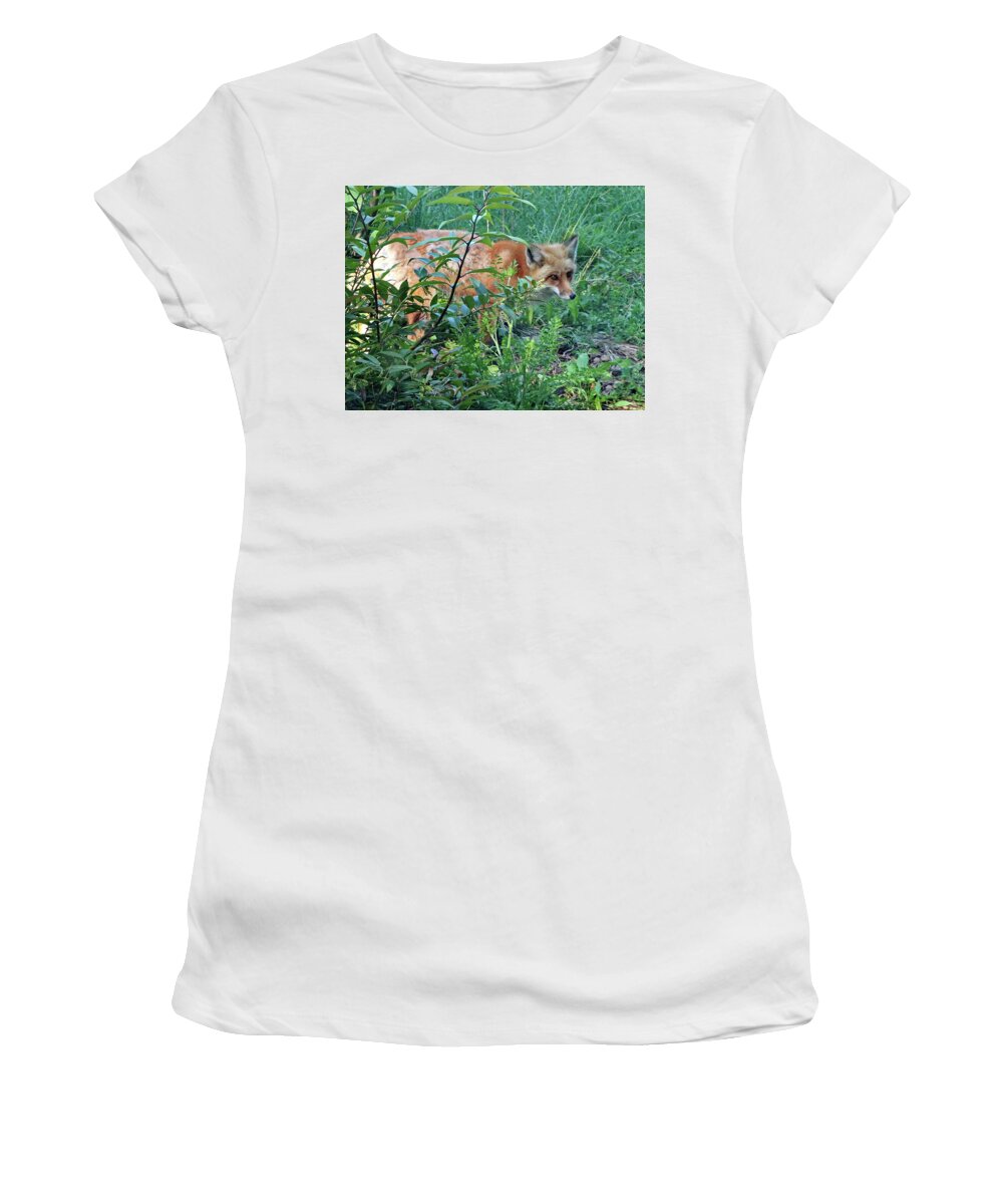 Red Fox Women's T-Shirt featuring the photograph Red Fox by Lyuba Filatova