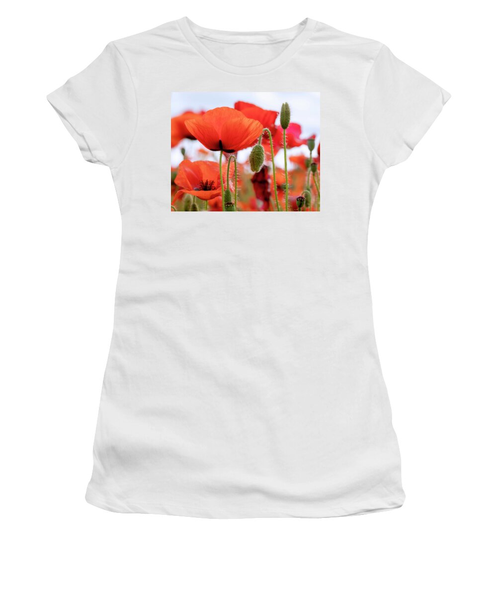 Red Women's T-Shirt featuring the photograph Red Poppies in a Field by Catherine Avilez