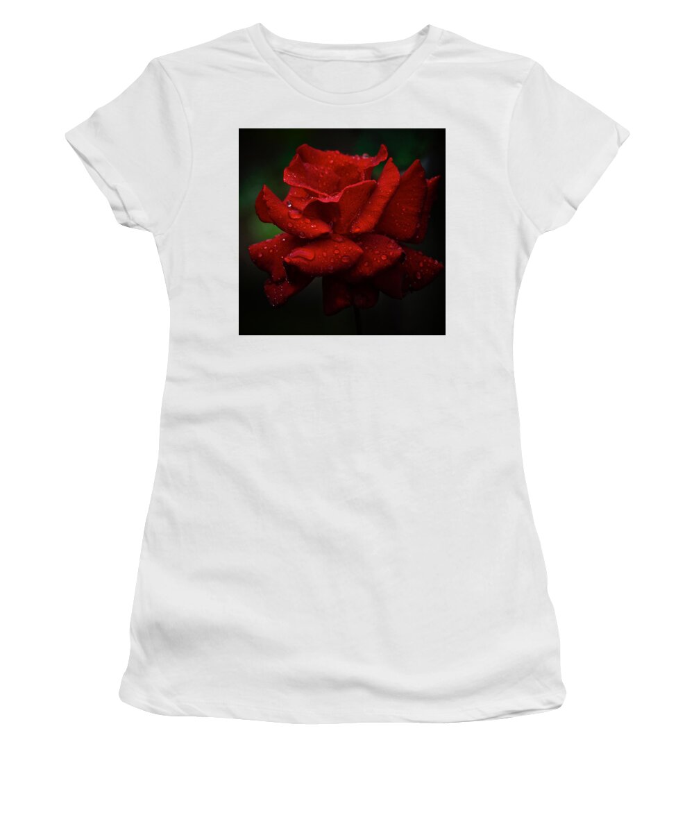 Rose Women's T-Shirt featuring the photograph Red September 2021 Rose in the Rain by Richard Cummings