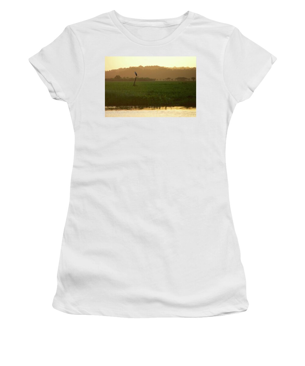 Crane Women's T-Shirt featuring the photograph Resting Crane In the Kaw Reseve by Sean Hannon