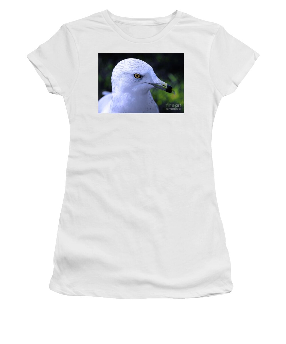 Bird Women's T-Shirt featuring the photograph Ring Billed Seagull by Elaine Manley