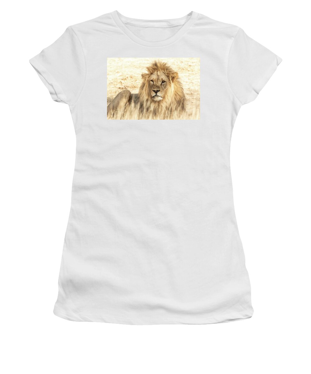 Male Lion Women's T-Shirt featuring the photograph Royalty by MaryJane Sesto