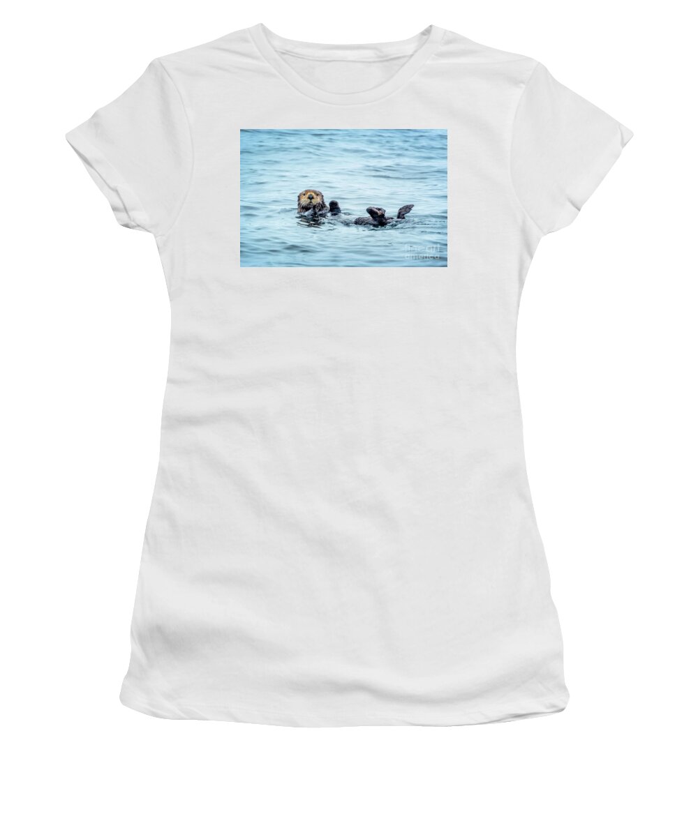 Otter Women's T-Shirt featuring the photograph Sea otter naptime by Delphimages Photo Creations