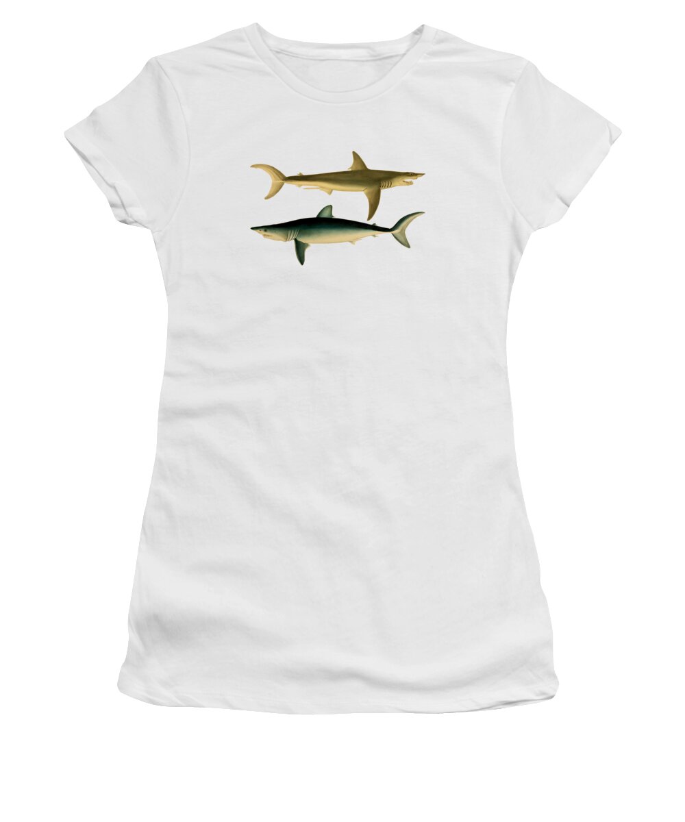 Shark Women's T-Shirt featuring the digital art Sharks by Madame Memento