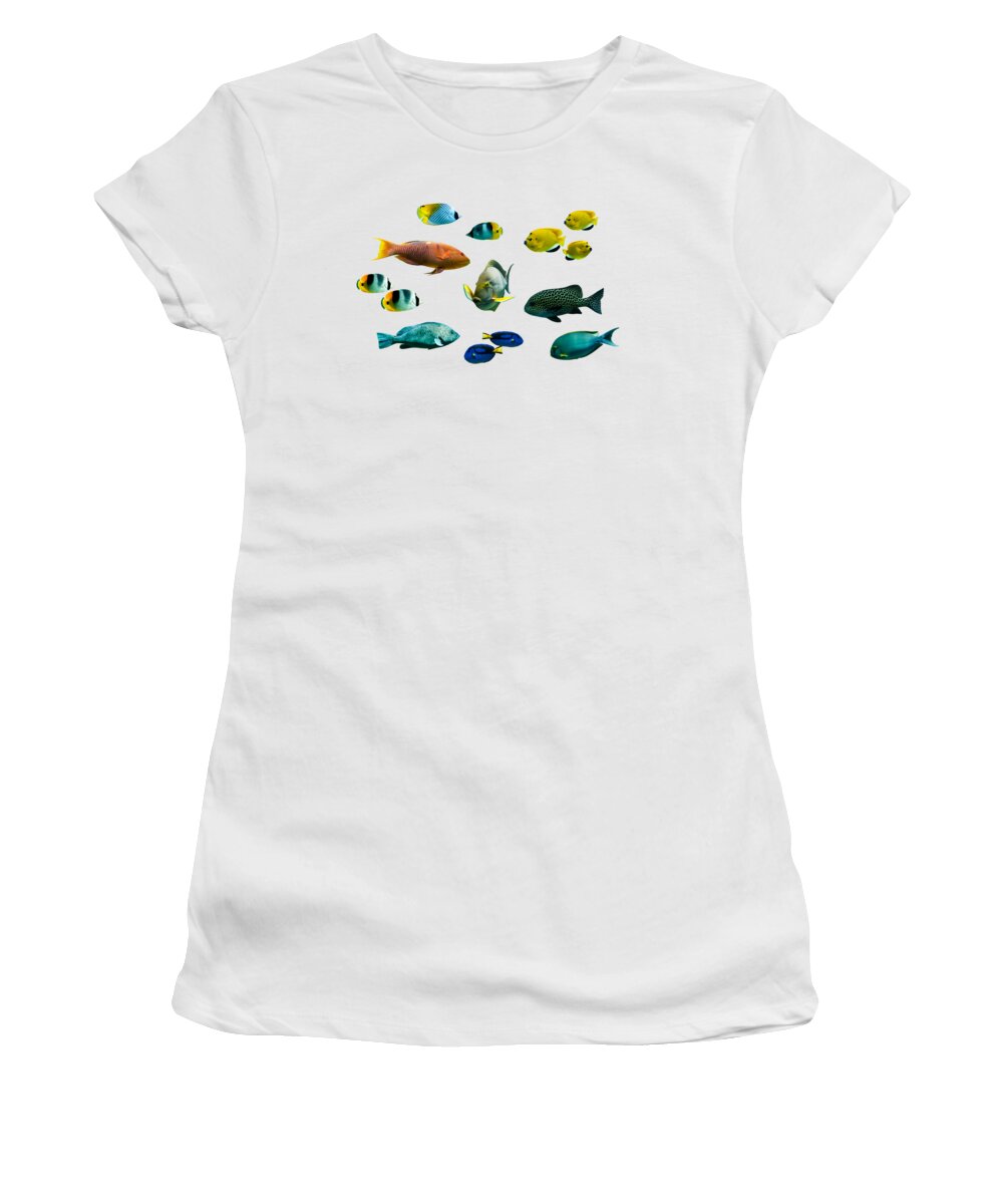 Tropica Women's T-Shirt featuring the photograph Collection of tropical fishes by Delphimages Photo Creations