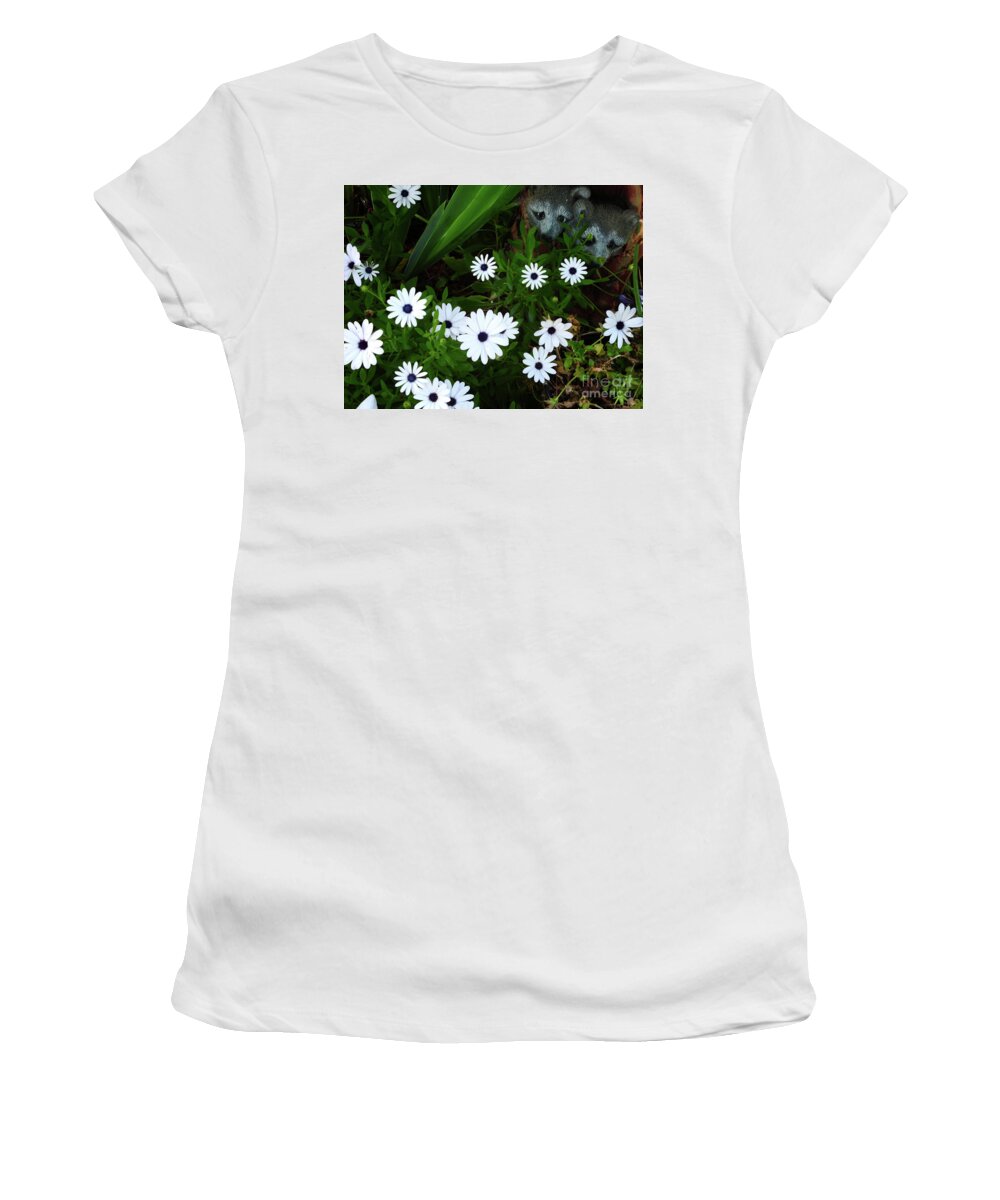 African Cape Daisy Women's T-Shirt featuring the photograph Smell the Daisies by Scott Cameron