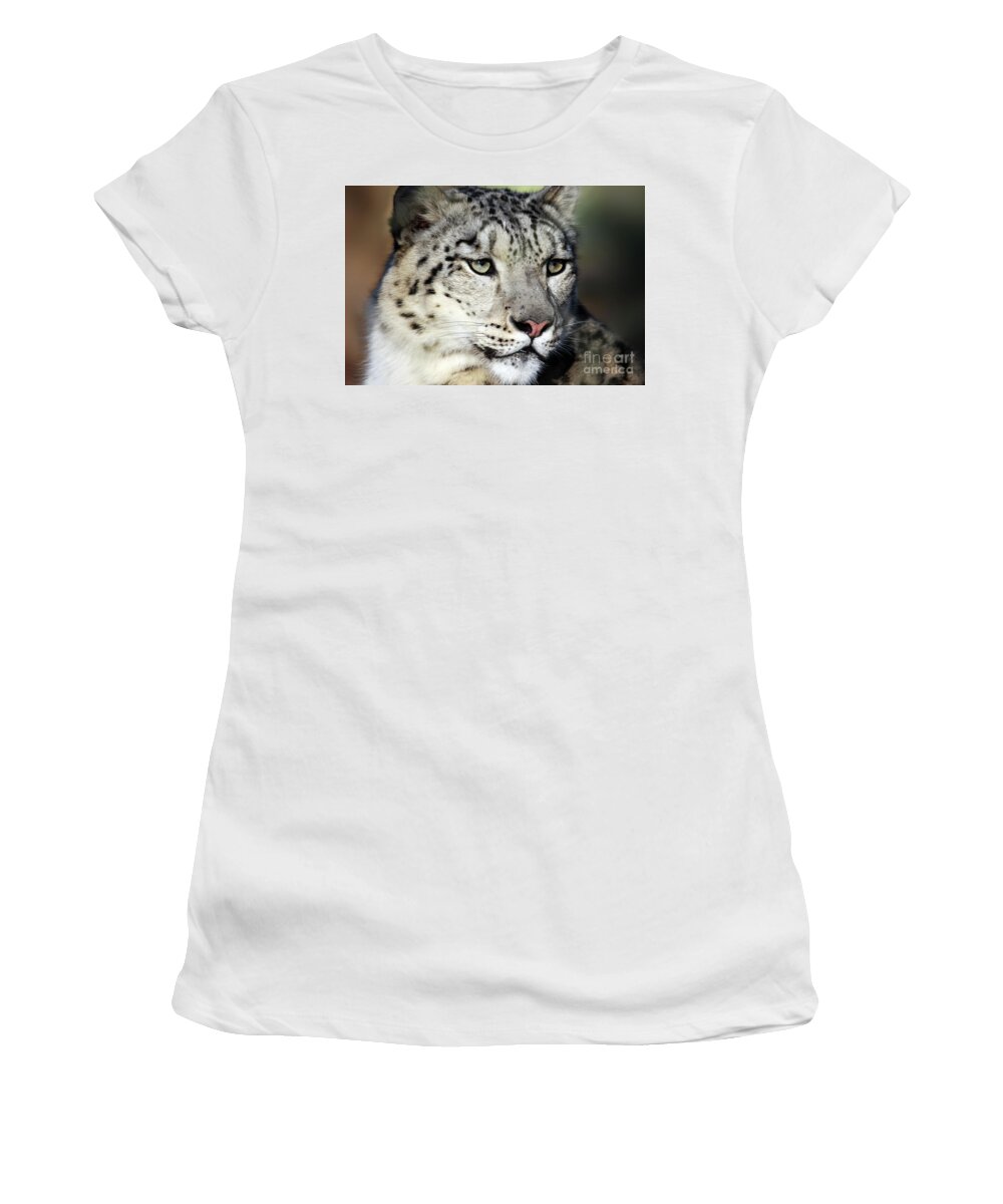 Snow Leopard Women's T-Shirt featuring the photograph Snow Leopard Uncia uncia by Terri Waters