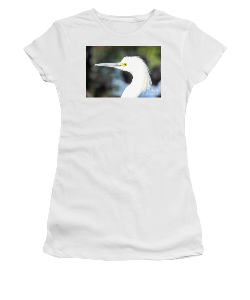 Snowy Egret Women's T-Shirt featuring the photograph Snowy Egret Profile by Joanne Carey