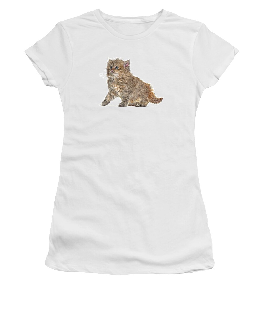 Omg Women's T-Shirt featuring the painting So adorable omg, Kitten British Longhair Cat by Custom Pet Portrait Art Studio