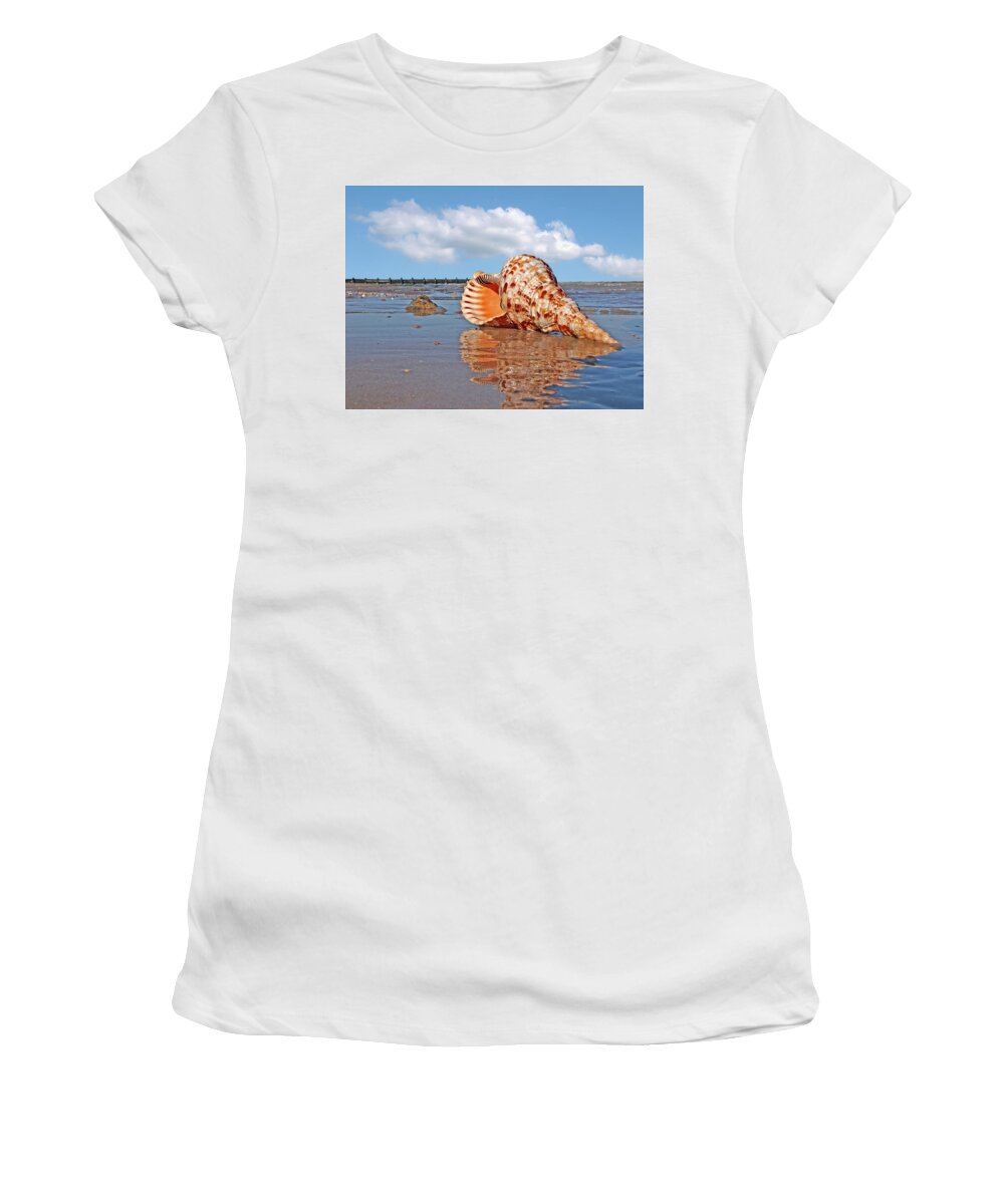 Sea Shell Women's T-Shirt featuring the photograph Sounds of the Ocean - Trumpet Triton Seashell by Gill Billington