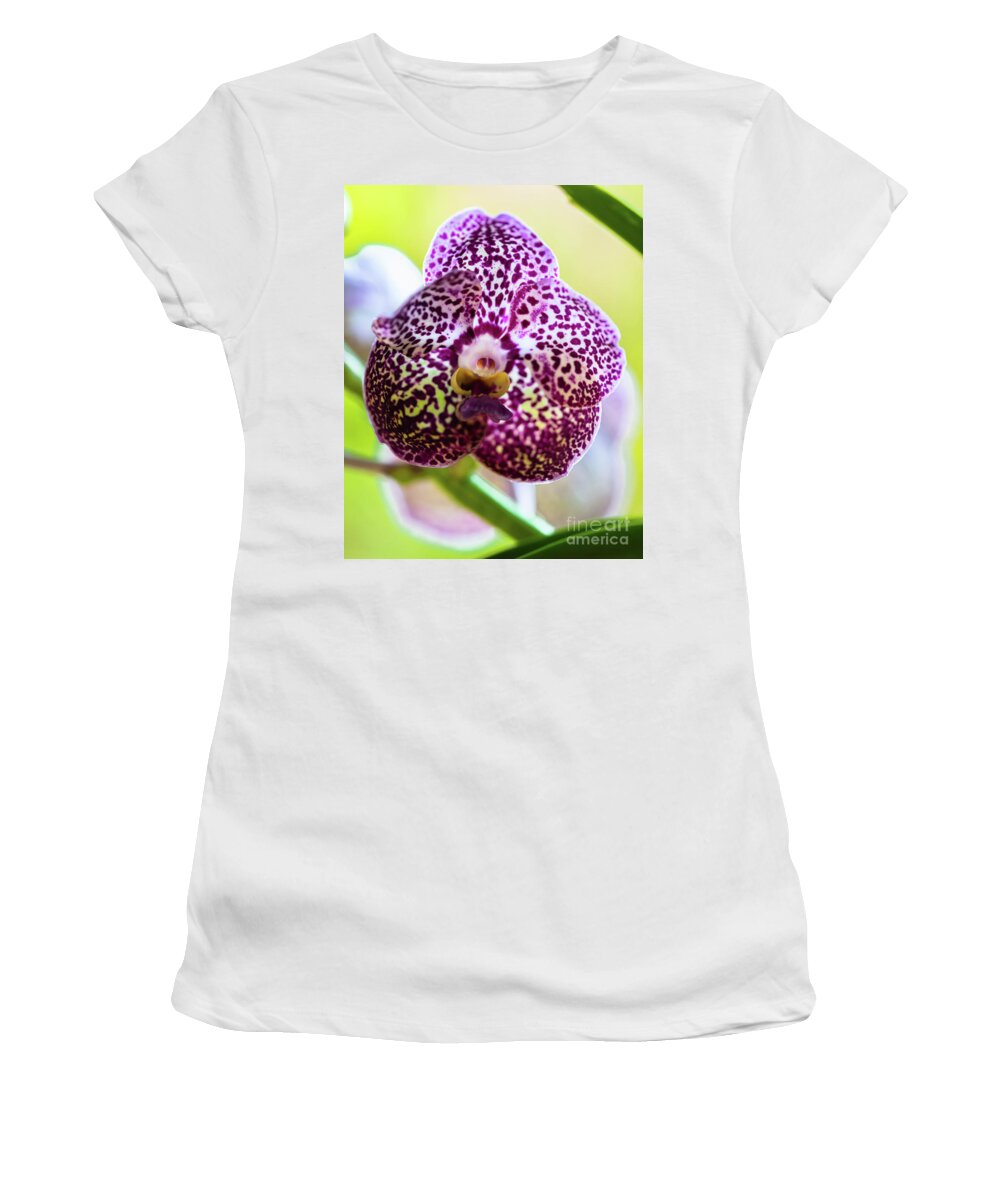 Ascda Kulwadee Fragrance Women's T-Shirt featuring the photograph Spotted Vanda Orchid Flowers by Raul Rodriguez