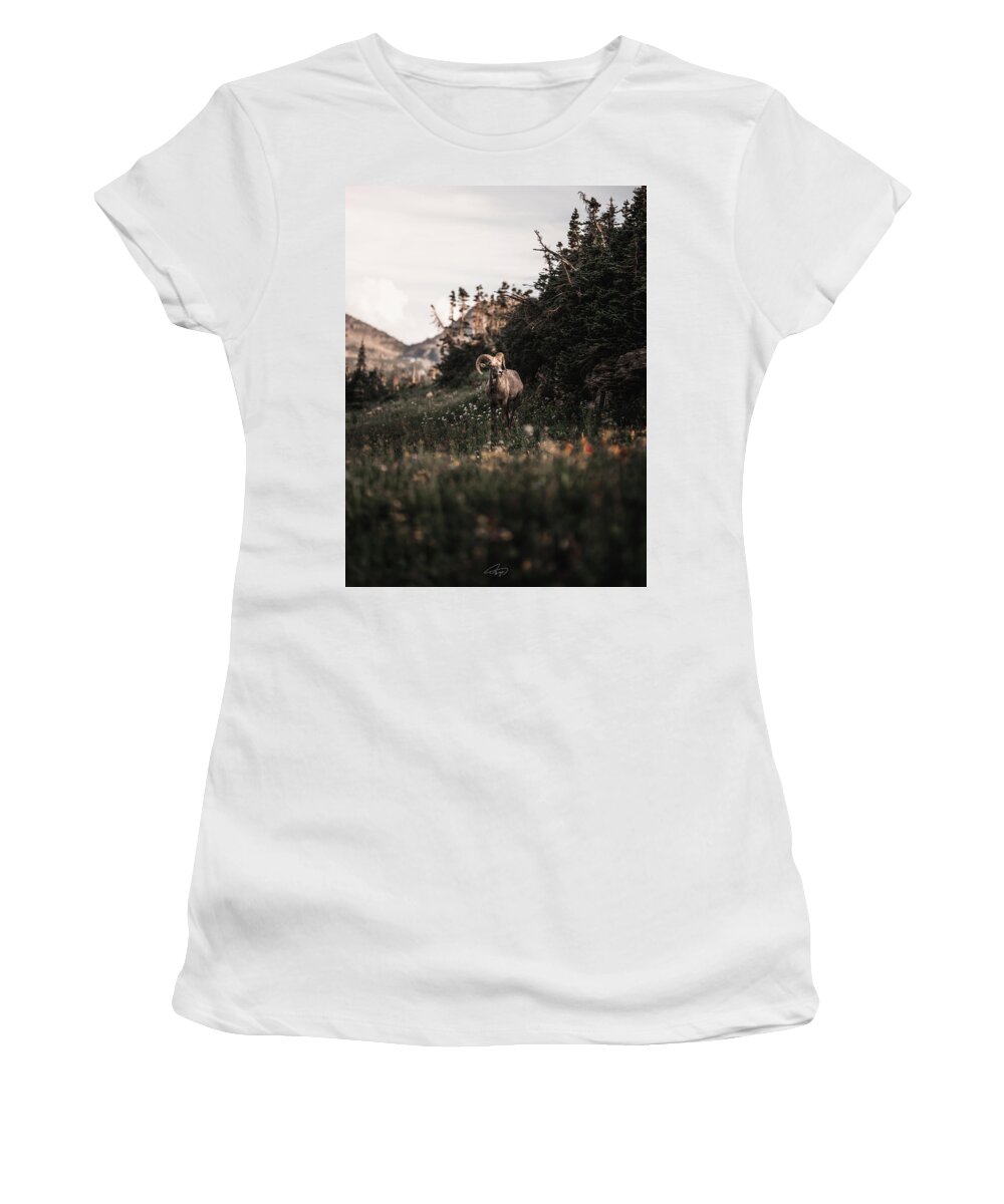  Women's T-Shirt featuring the photograph Stoic Bighorn by William Boggs