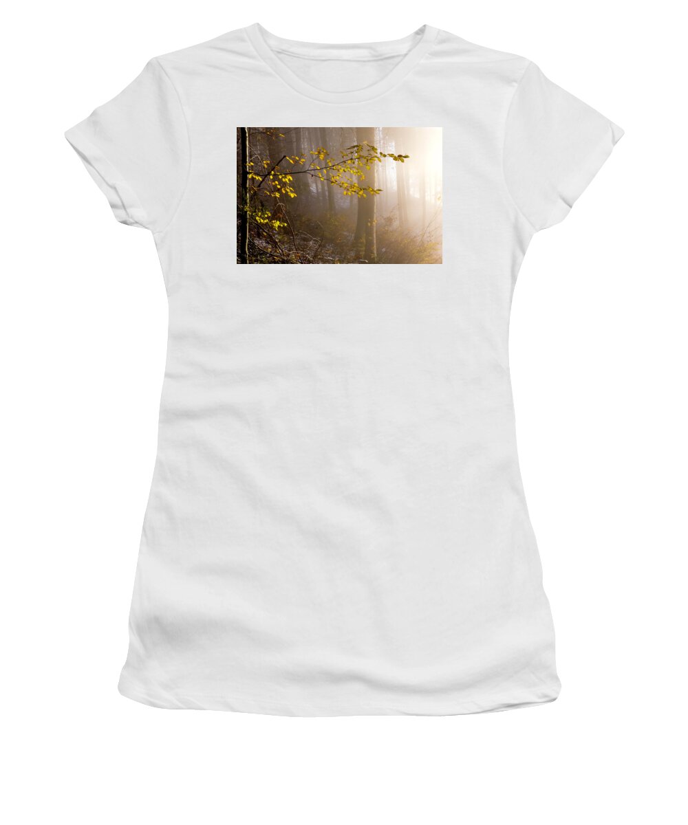 Forest Women's T-Shirt featuring the photograph Sunlight meets the forest by Wolfgang Stocker