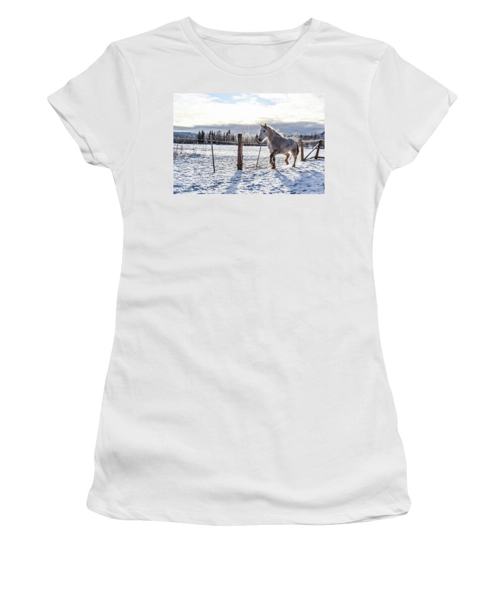 Winter Women's T-Shirt featuring the photograph Sunlit Passage by Listen To Your Horse