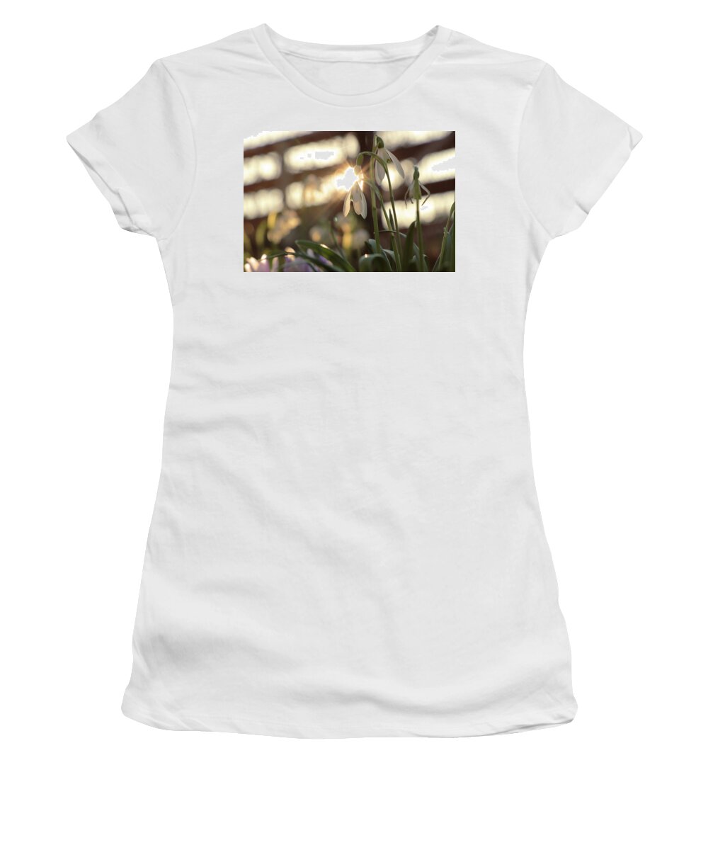Misty Women's T-Shirt featuring the photograph Sunshine goes through Galanthus nivalis by Vaclav Sonnek
