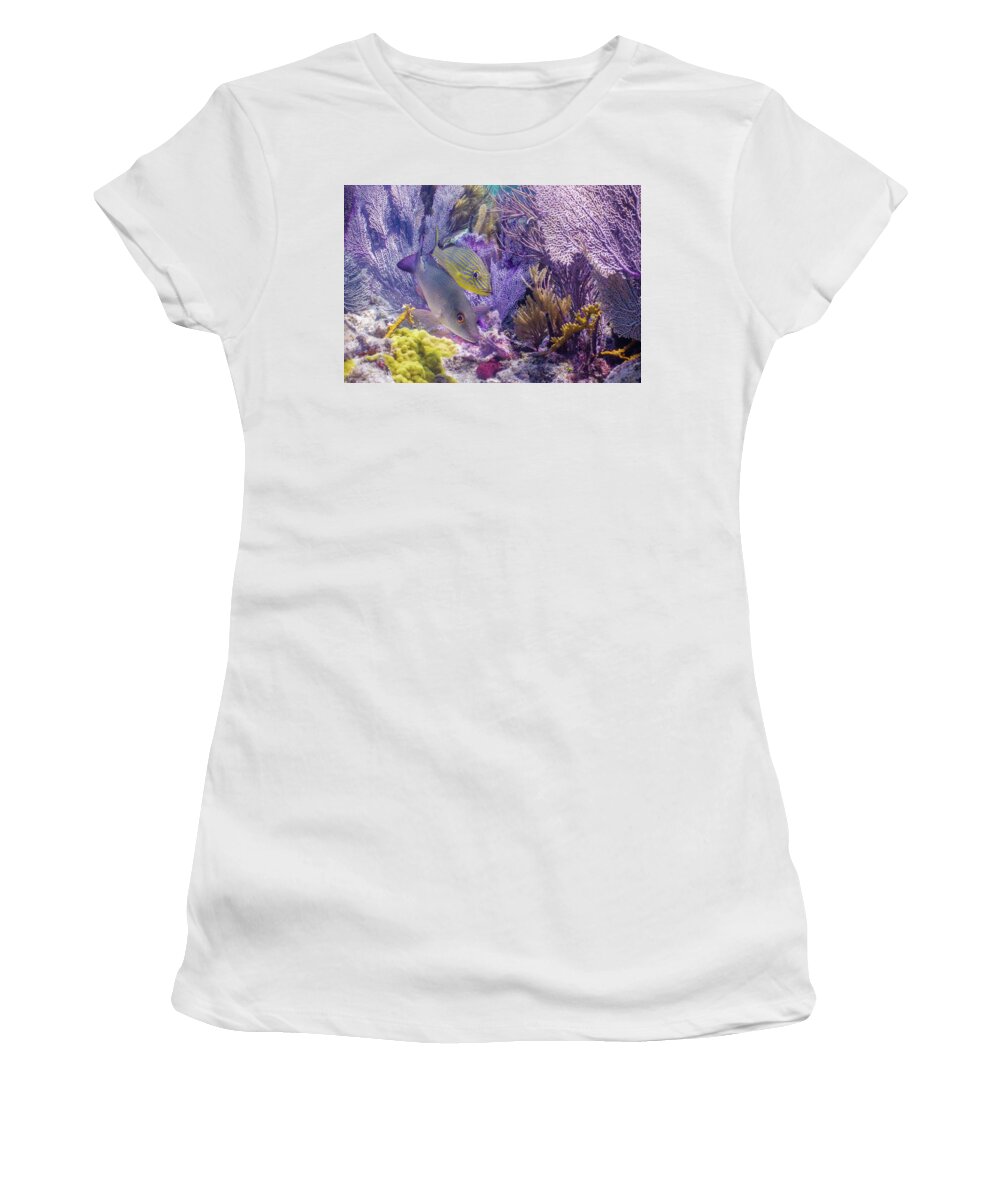 Animals Women's T-Shirt featuring the photograph Swim WIth Me by Lynne Browne
