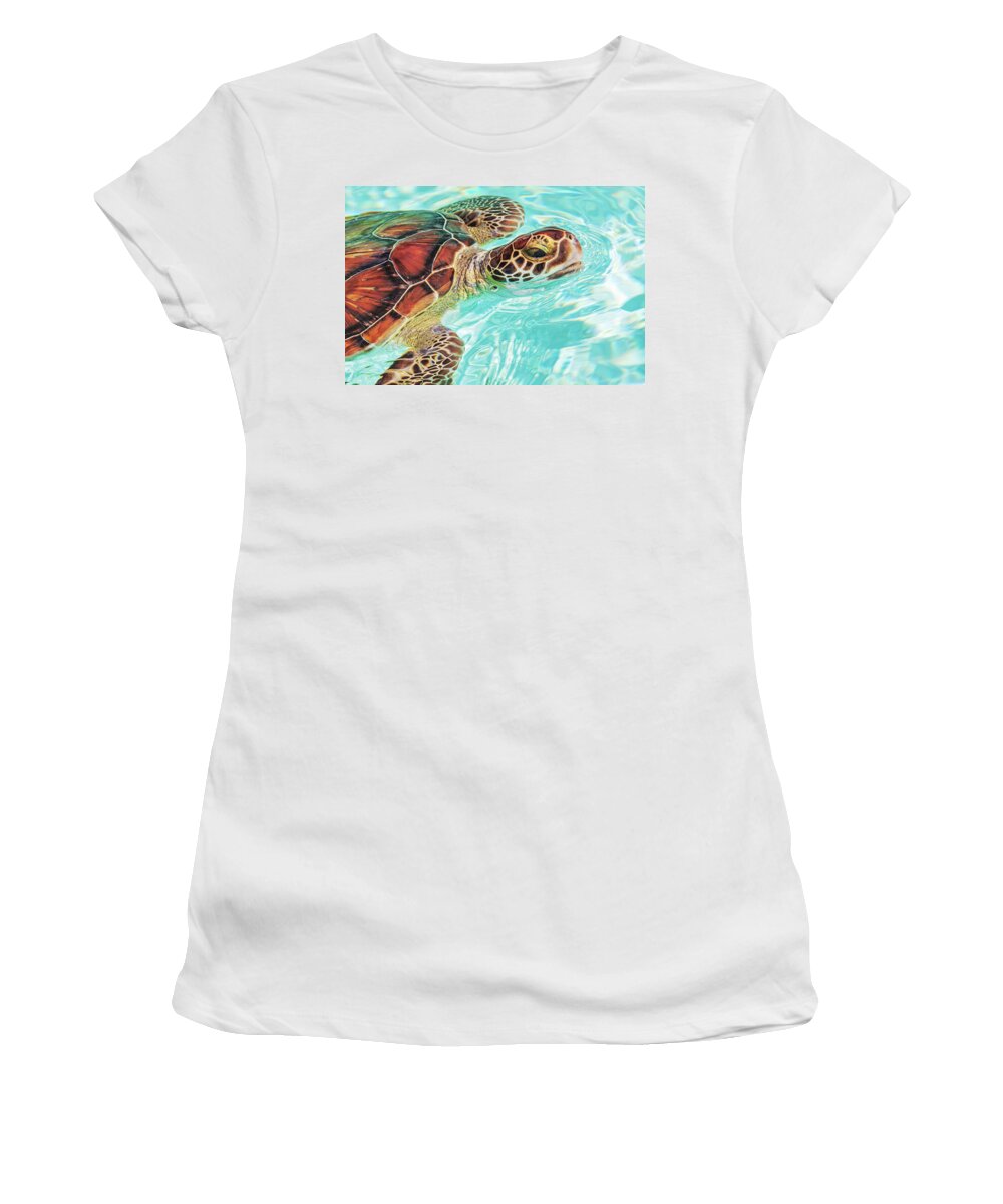 Turtle Women's T-Shirt featuring the photograph Swimming turtle by Tatiana Travelways