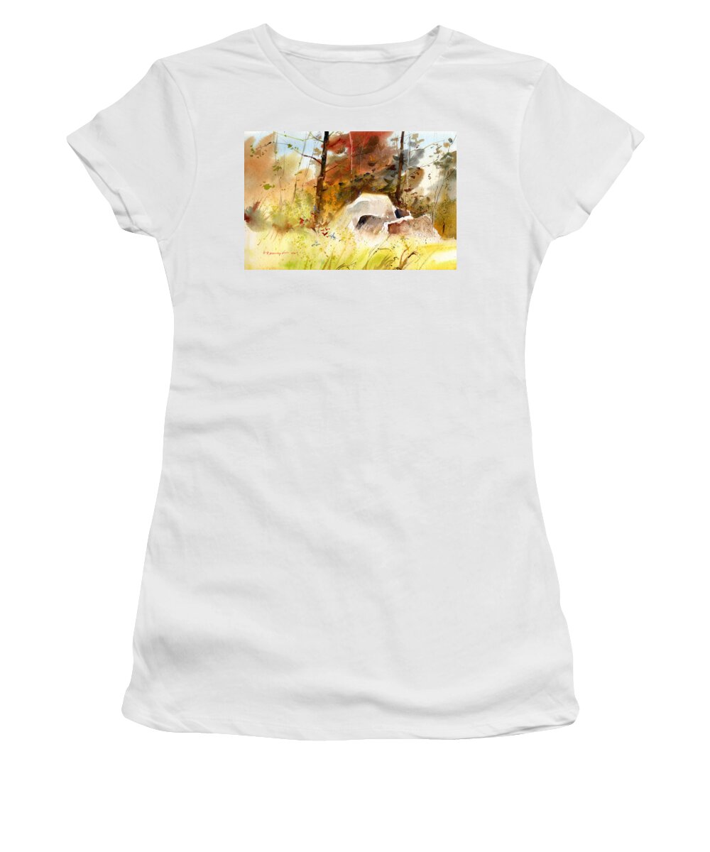 New England Scenes Women's T-Shirt featuring the painting The Color of Fall II by P Anthony Visco