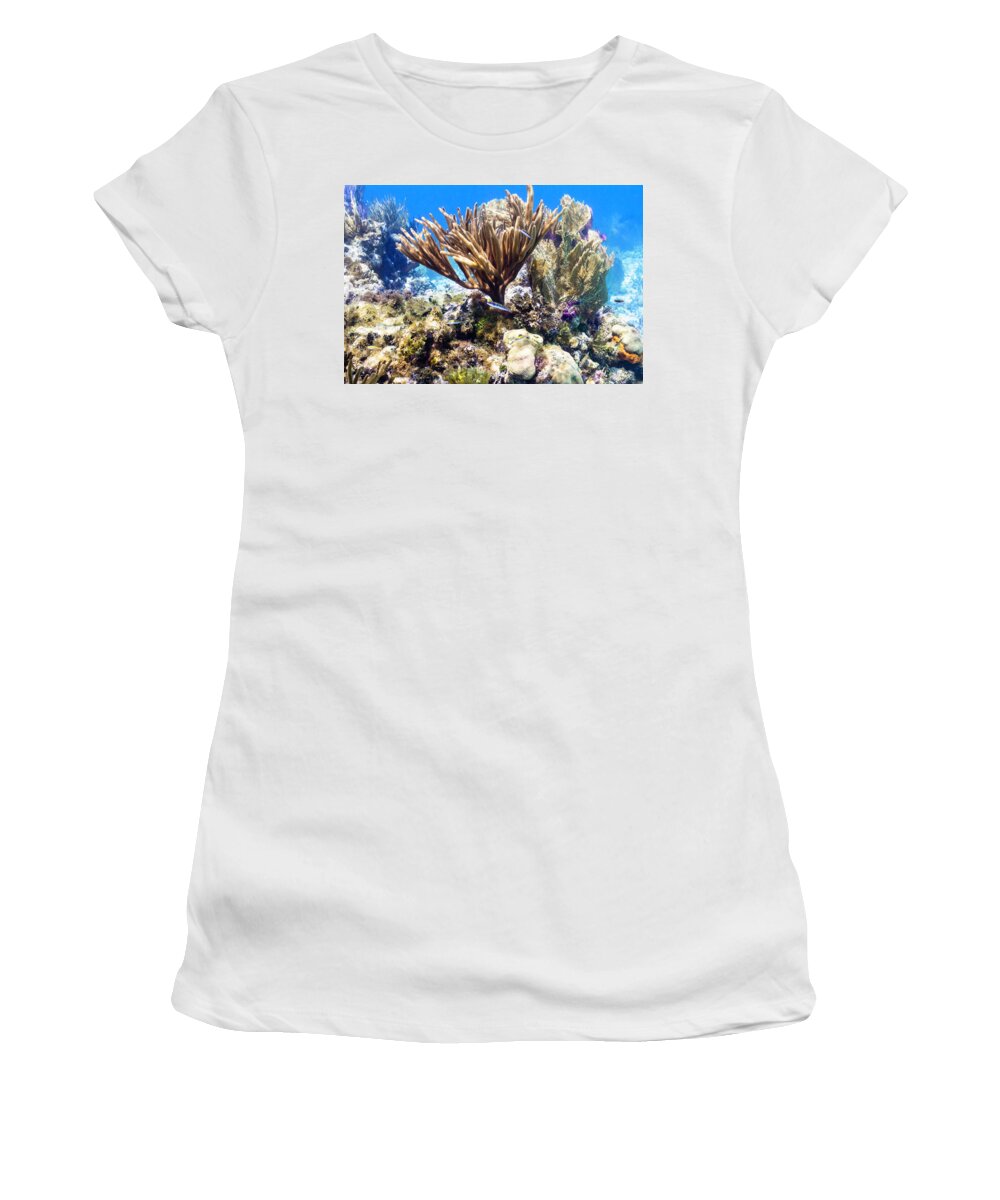 Coral Women's T-Shirt featuring the photograph The Nursery by Lynne Browne
