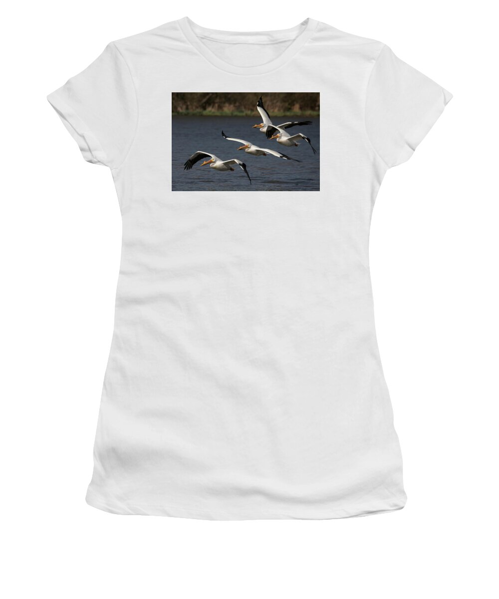 Lake Bloomington Women's T-Shirt featuring the photograph The Squadron by Ray Silva