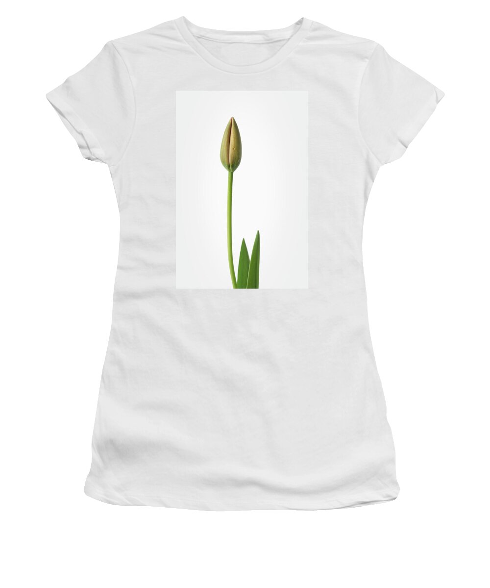 Tulips Women's T-Shirt featuring the photograph Tulip 3 by Richard Rizzo