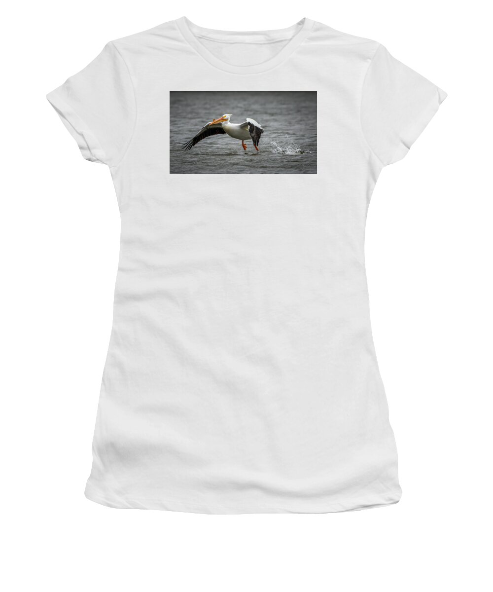 American White Pelican Women's T-Shirt featuring the photograph Water Landing by Ray Silva
