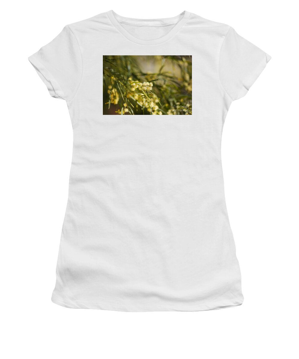 Acacia Women's T-Shirt featuring the photograph Wattle Tree Spring Flowers by Joy Watson