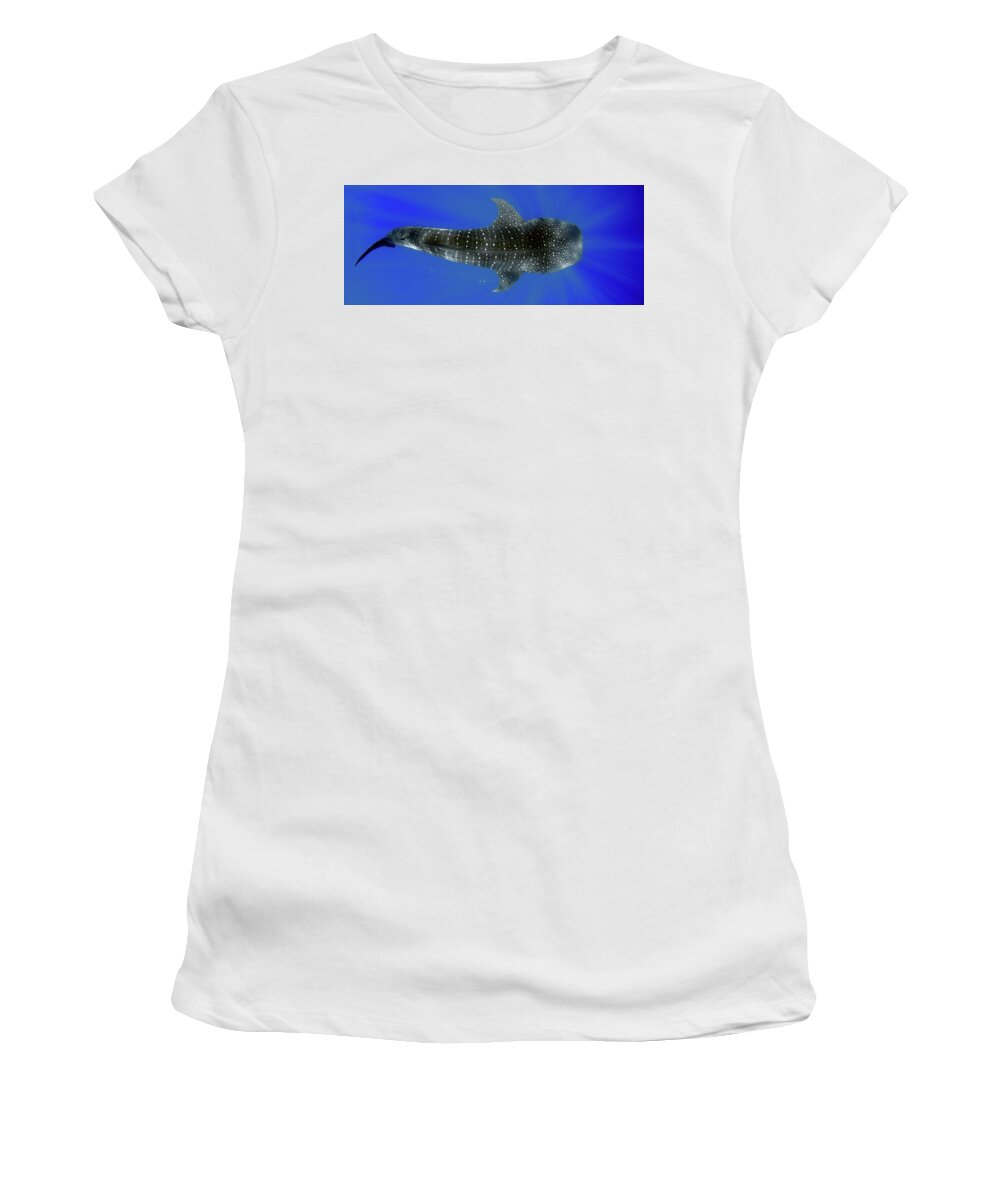 Whale Shark Women's T-Shirt featuring the photograph Whale shark by Artesub