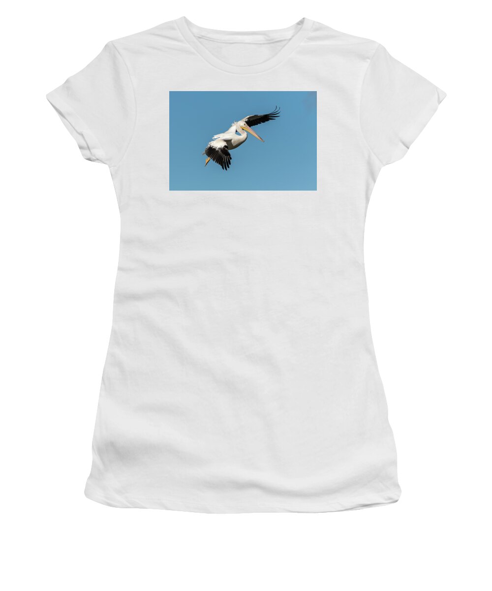 American White Pelican Women's T-Shirt featuring the photograph White Pelican Coming In For A Landing 2020-2 by Thomas Young