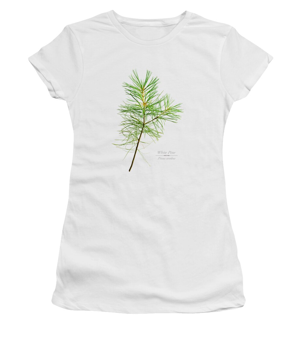White Pine Women's T-Shirt featuring the mixed media White Pine by Christina Rollo