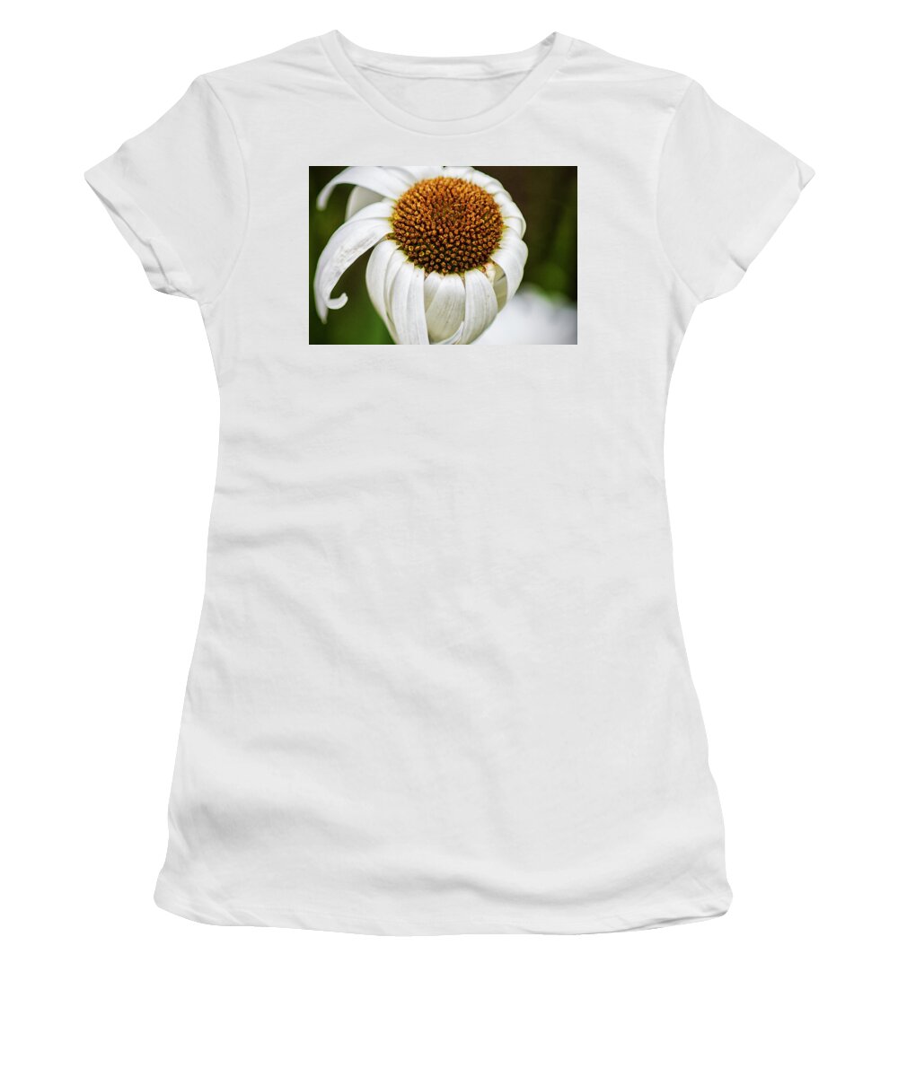 Daisy Women's T-Shirt featuring the photograph Wilted Daisy by Bob Decker