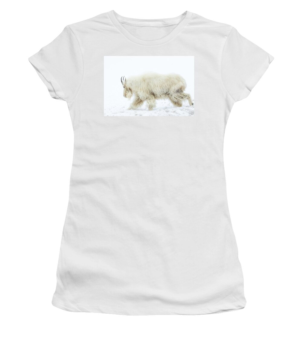 Mountain Goat Women's T-Shirt featuring the photograph Winter Mountain Goat by Wesley Aston