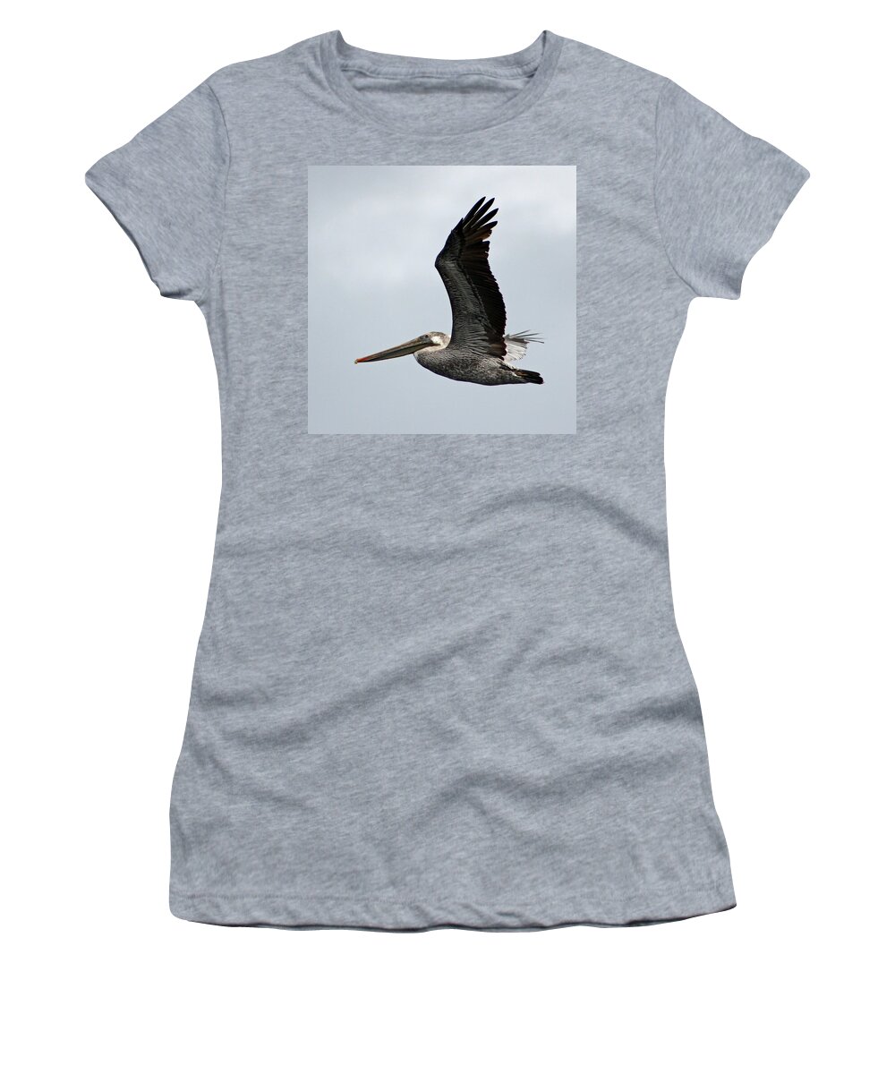 Bird Women's T-Shirt featuring the photograph Brown Pelican in Flight by Deana Glenz