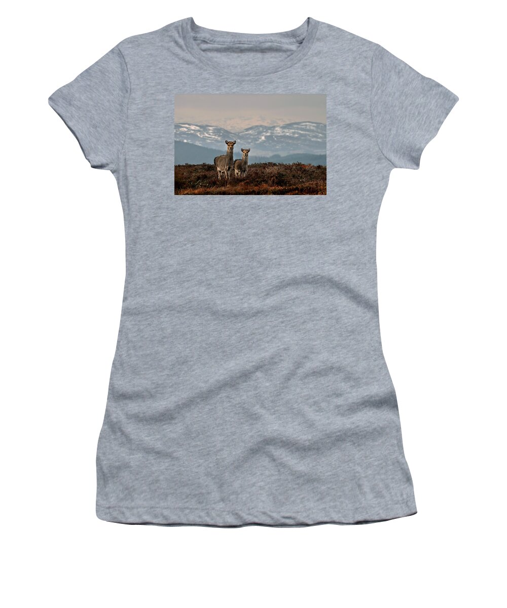 Sika Deer Women's T-Shirt featuring the photograph  Sika Deer by Gavin Macrae