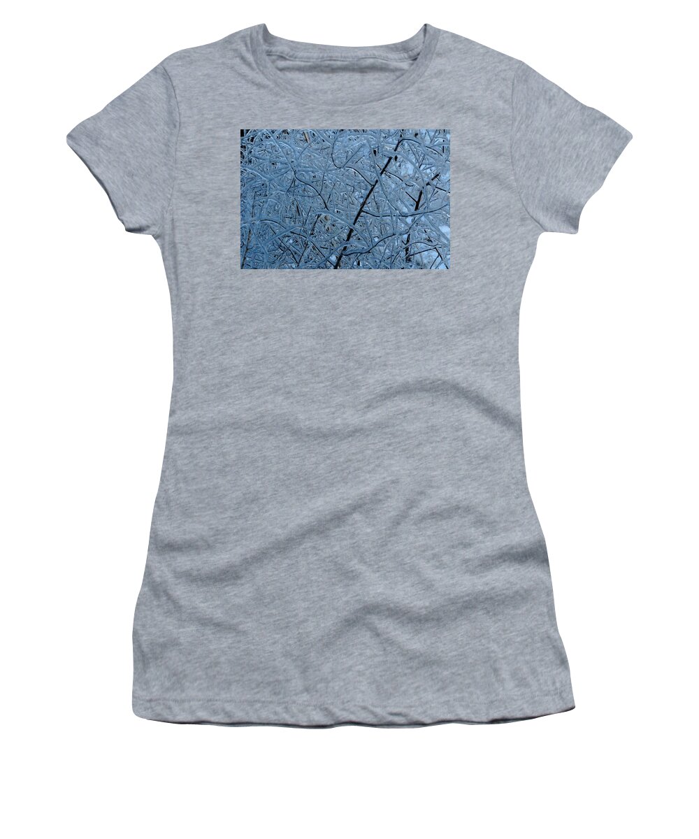 Ice Women's T-Shirt featuring the photograph Vegetation After Ice Storm by Daniel Reed