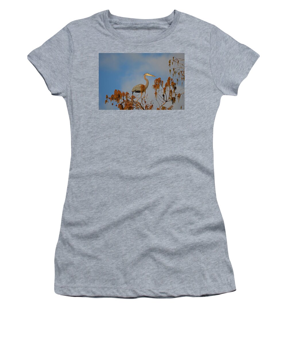 Great Blue Heron Women's T-Shirt featuring the photograph 7- Great Blue Heron #1 by Joseph Keane