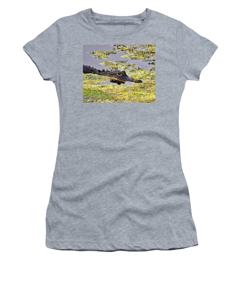 Alligator Women's T-Shirt featuring the photograph Alligator in Algae #1 by Al Powell Photography USA