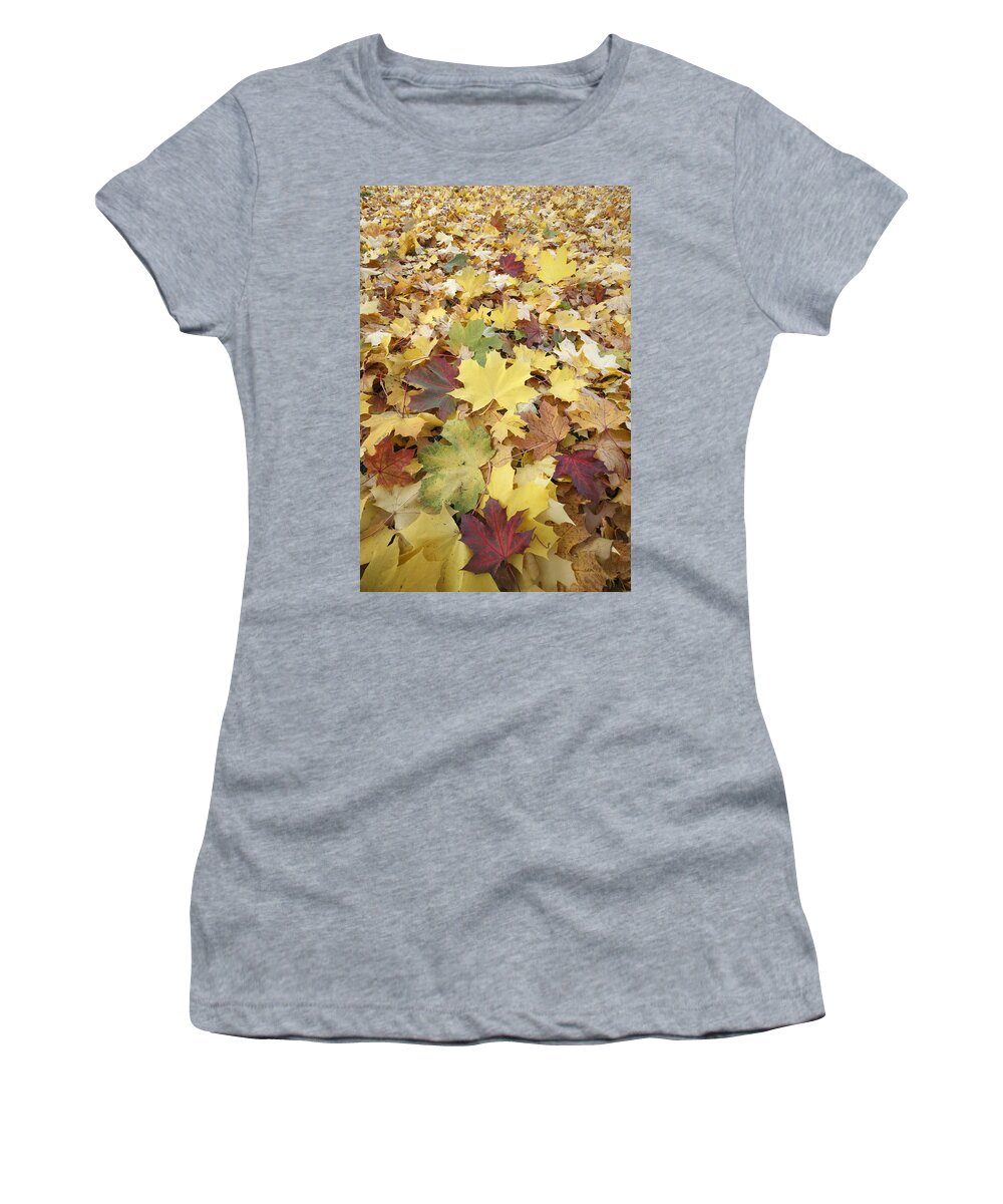 Feb0514 Women's T-Shirt featuring the photograph Autumn Sycamore Leaves Germany #1 by Duncan Usher