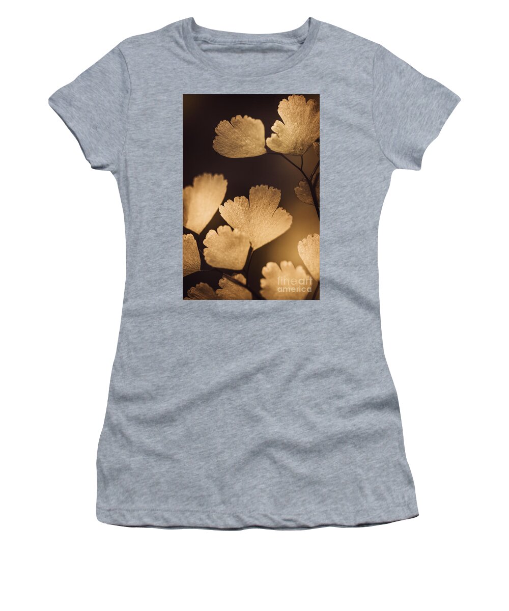 Macro Women's T-Shirt featuring the photograph Autumn tree branch with luminous brown leaves #1 by Jorgo Photography
