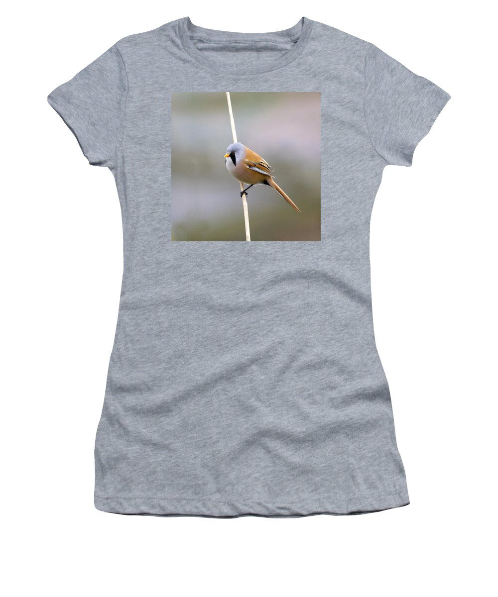 Bearded Tit Women's T-Shirt featuring the photograph Bearded Tit #2 by Chris Smith
