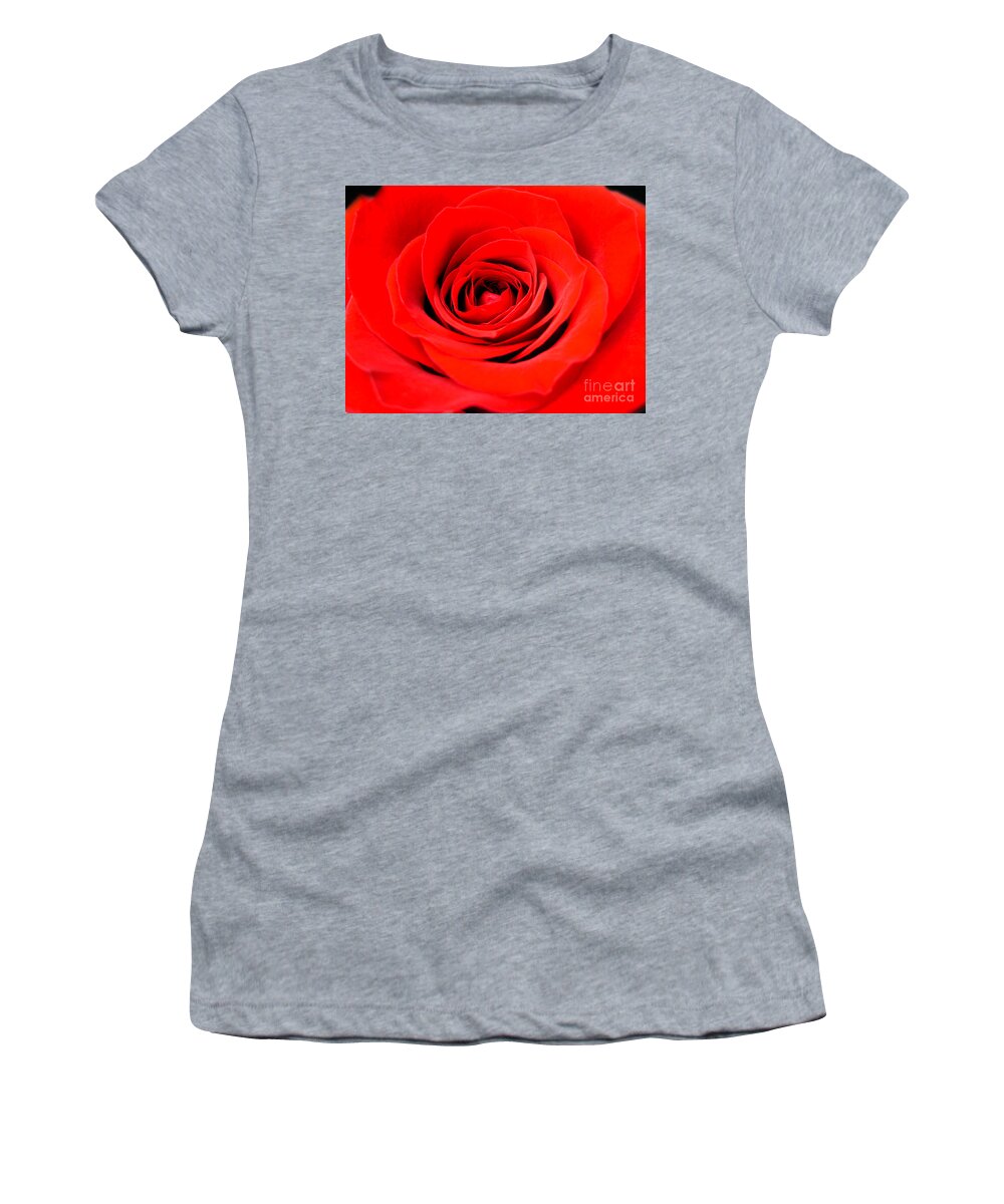 Rose Women's T-Shirt featuring the photograph Beautiful Red Rose by Nina Ficur Feenan