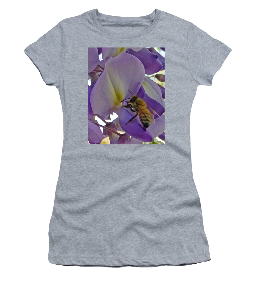 Bee Women's T-Shirt featuring the photograph Bee in Wisteria #2 by Claudia Goodell