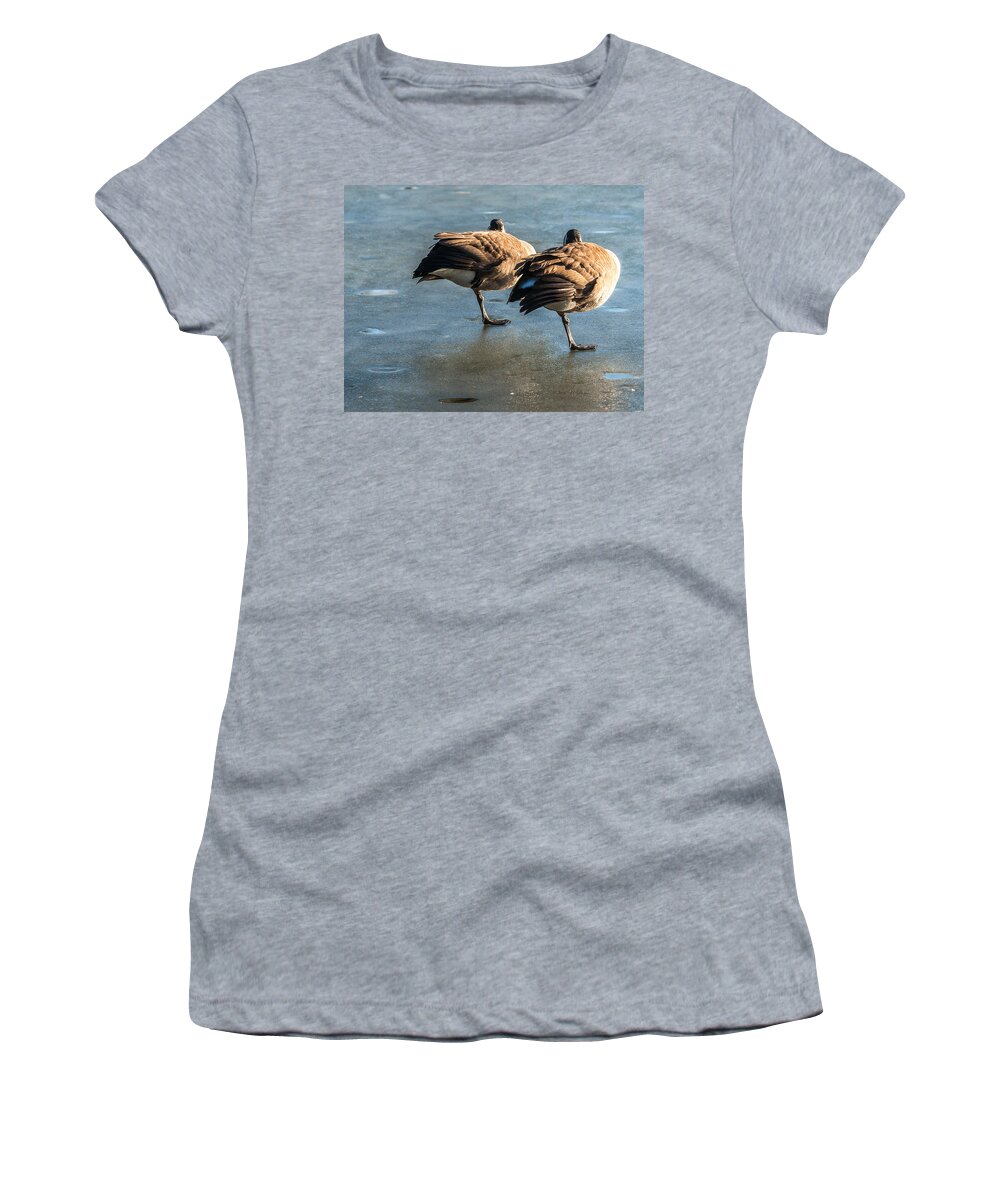 Winter Scene Women's T-Shirt featuring the photograph Canada Geese At Rest #1 by Ed Peterson