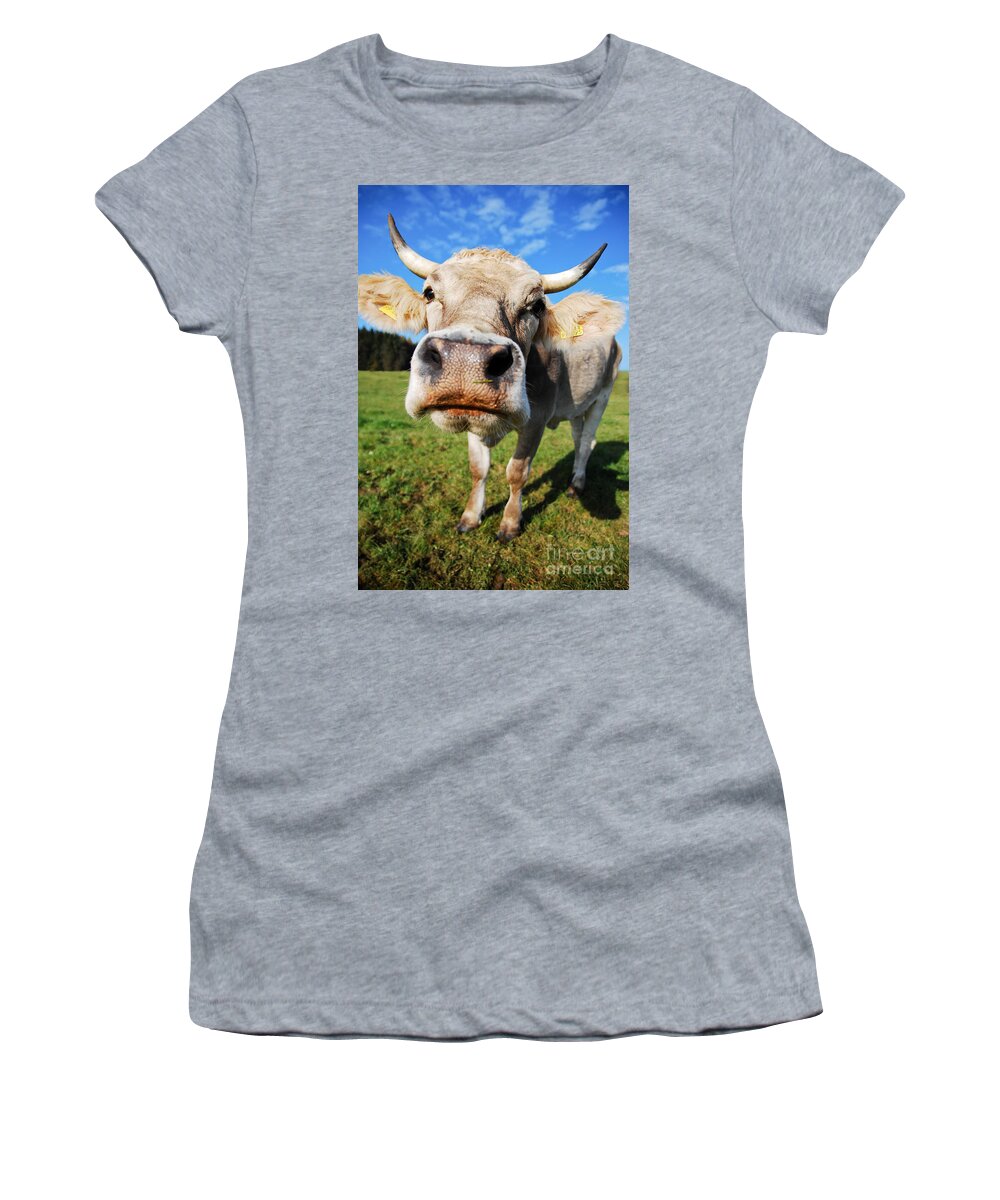 Cow Women's T-Shirt featuring the photograph cow #1 by Hannes Cmarits